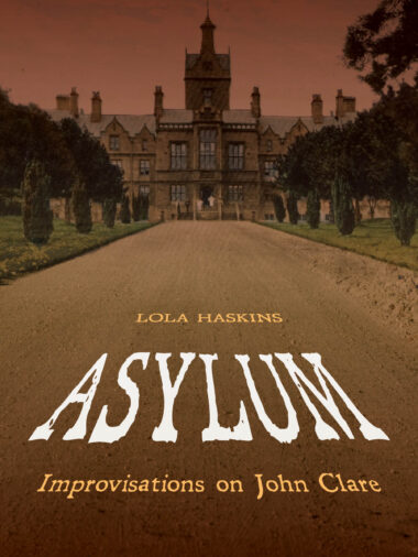 Asylum - Lola Haskins